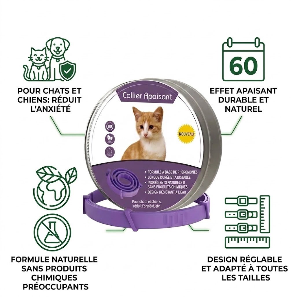 8f453cb8 1b7a 49e7 8bdf 9a001ea8f070